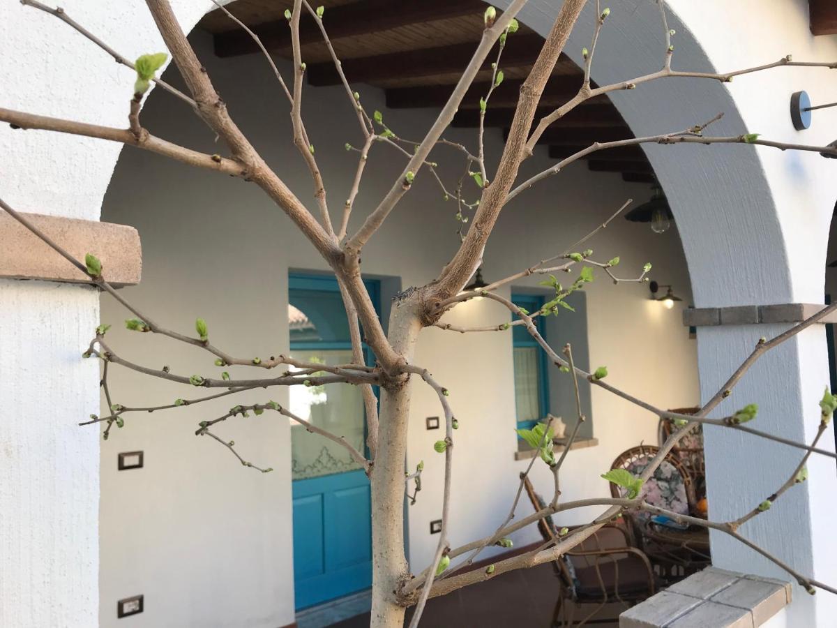 Centu Concas Bed & Breakfast Muravera Exterior photo