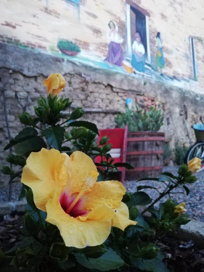 Centu Concas Bed & Breakfast Muravera Exterior photo